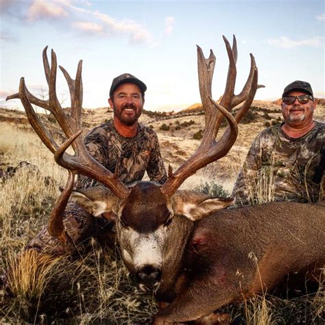 monster muleys|monstermuleys classifieds.